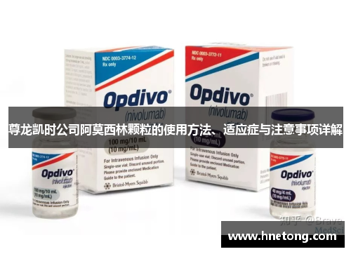 尊龙凯时公司阿莫西林颗粒的使用方法、适应症与注意事项详解