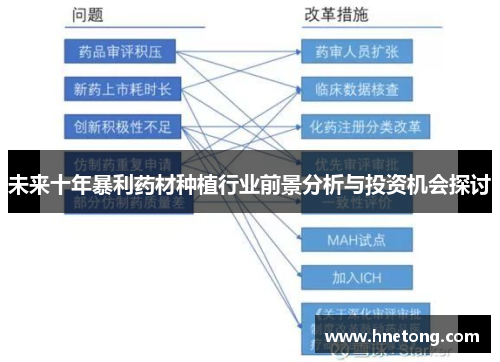 未来十年暴利药材种植行业前景分析与投资机会探讨