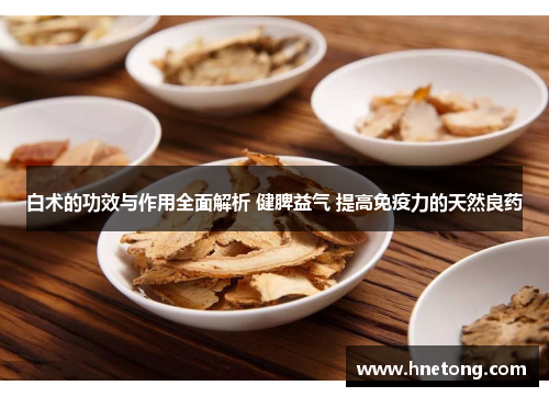 白术的功效与作用全面解析 健脾益气 提高免疫力的天然良药
